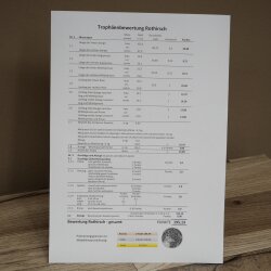Corna di cervo rosso 6 punte Altezza 59 cm Corna di cervo Trofeo intagliato 70.1031