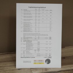 Roodhertengewei 6 eindhert hoogte 59 cm hertengewei gewei gesneden trofeeplaat 70.1031
