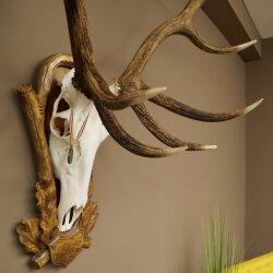 Rothirschgeweih 14 ender Hirsch Medaille Bronze Höhe 122 cm Hirschgeweih Geweih auf geschnitztem Trophäenschild #92