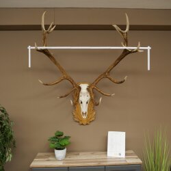 Rothirschgeweih 16 ender Hirsch Medaille silberfarben Höhe 127 cm Hirschgeweih Geweih auf geschnitztem Trophäenschild #93