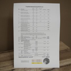 Rothirschgeweih 16 ender Hirsch Medaille silberfarben Höhe 127 cm Hirschgeweih Geweih auf geschnitztem Trophäenschild #93