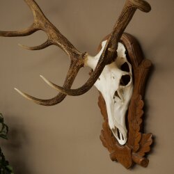 Rothirschgeweih 14 ender Hirsch Höhe 104 cm Hirschgeweih Geweih auf geschnitztem Trophäenschild #94