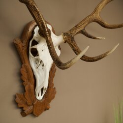 Rothirschgeweih 14 ender Hirsch Höhe 104 cm Hirschgeweih Geweih auf geschnitztem Trophäenschild #94