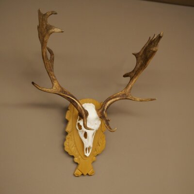 Daim bois hauteur 76 cm Daim bois de cerf bouclier sculpté 72.545