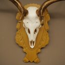 Daim bois hauteur 76 cm Daim bois de cerf bouclier sculpté 72.545