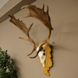 Daim bois hauteur 76 cm Daim bois de cerf bouclier sculpté 72.545
