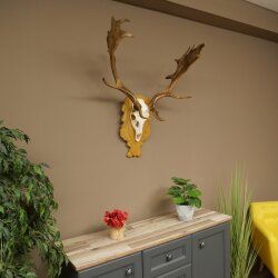 Daim bois hauteur 76 cm Daim bois de cerf bouclier sculpté 72.545