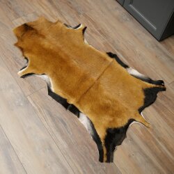 Kamerunschaf Kamerun Fell Schaf Vorleger Tierfell Dekoration Länge 92 cm