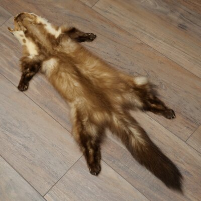 Marten Fur, Stone Marten Fur, Animal Rug, Length 84 cm, 10/16/87