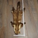 Marder Fell Marderfell Steinmarder Felle Tier Vorleger...