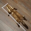 Marten Fur, Stone Marten Fur, Animal Rug, Length 84 cm, 10/16/87
