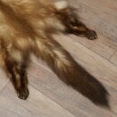 Marten Fur, Stone Marten Fur, Animal Rug, Length 84 cm, 10/16/87