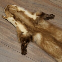 Marten Fur, Stone Marten Fur, Animal Rug, Length 84 cm, 10/16/87