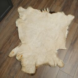 Damhertenvacht Damhertenvacht Hertenvacht Vloerkleed Tapijt Decoratie Lengte 112 cm 87.3.38