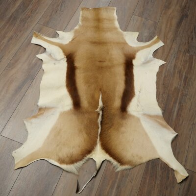 Springbock Fell Spingbockfell Afrika Vorleger Tierfell Länge 132 cm