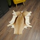 Springbock Fell Spingbockfell Afrika Vorleger Tierfell Länge 132 cm