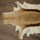Springbock Fell Spingbockfell Afrika Vorleger Tierfell Länge 132 cm