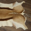 Springbock Fell Spingbockfell Afrika Vorleger Tierfell Länge 132 cm
