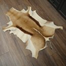 Springbock Fell Spingbockfell Afrika Vorleger Tierfell Länge 132 cm