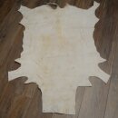 Springbock Fell Spingbockfell Afrika Vorleger Tierfell Länge 132 cm