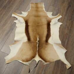 Springbock Fell Spingbockfell Afrika Vorleger Tierfell Länge 132 cm