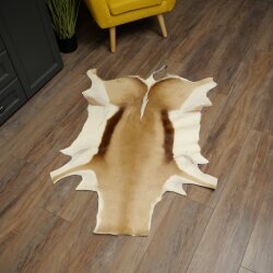 Springbock Fell Spingbockfell Afrika Vorleger Tierfell Länge 132 cm