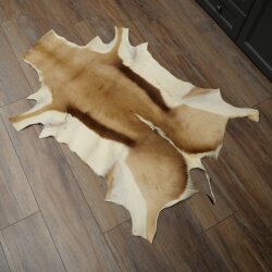 Springbock Fell Spingbockfell Afrika Vorleger Tierfell Länge 132 cm
