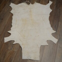 Springbock Fell Spingbockfell Afrika Vorleger Tierfell Länge 132 cm