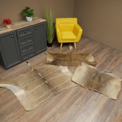 Warthog Fur Rug, 149 cm Long, African Warthog Rug