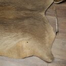 Warthog Fur Rug, 149 cm Long, African Warthog Rug