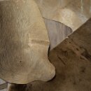 Warthog Fur Rug, 149 cm Long, African Warthog Rug