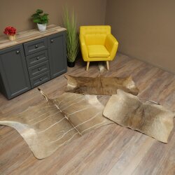 Warthog Fur Rug, 149 cm Long, African Warthog Rug