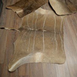 Warthog Fur Rug, 149 cm Long, African Warthog Rug