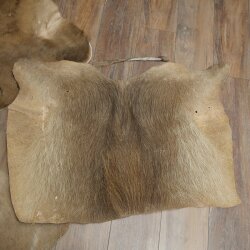 Warthog Fur Rug, 149 cm Long, African Warthog Rug