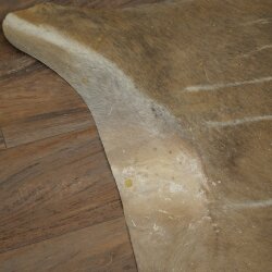 Warthog Fur Rug, 149 cm Long, African Warthog Rug