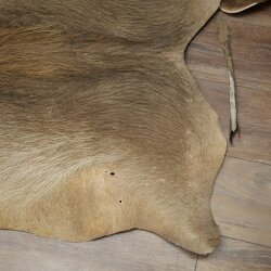 Warthog Fur Rug, 149 cm Long, African Warthog Rug