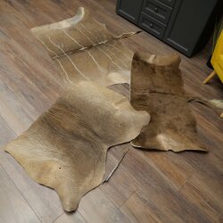Warthog Fur Rug, 149 cm Long, African Warthog Rug