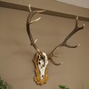 Rothirschgeweih 12 ender Hirsch Deko Medaille bronzefarben Höhe 117 cm Hirschgeweih Geweih auf geschnitztem Trophäenschild