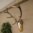 Rothirschgeweih 12 ender Hirsch Deko Medaille bronzefarben Höhe 117 cm Hirschgeweih Geweih auf geschnitztem Trophäenschild