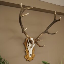 Rothirschgeweih 12 ender Hirsch Deko Medaille bronzefarben Höhe 117 cm Hirschgeweih Geweih auf geschnitztem Trophäenschild