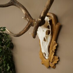 Rothirschgeweih 12 ender Hirsch Deko Medaille bronzefarben Höhe 117 cm Hirschgeweih Geweih auf geschnitztem Trophäenschild