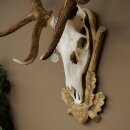 Rothirschgeweih 14 ender Hirsch Medaille silberfarben Höhe 135 cm Hirschgeweih Geweih auf geschnitztem Trophäenschild