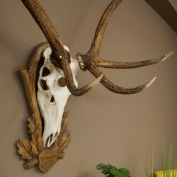 Rothirschgeweih 10 ender Hirsch Medaille bronzefarben Höhe 135 cm Hirschgeweih Geweih auf geschnitztem Trophäenschild