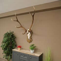 Rothirschgeweih 10 ender Hirsch Medaille bronzefarben Höhe 135 cm Hirschgeweih Geweih auf geschnitztem Trophäenschild