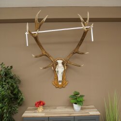 Rothirschgeweih 14 ender Hirsch Medaille silberfarben Höhe 127 cm Hirschgeweih Geweih auf geschnitztem Trophäenschild