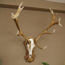Rothirschgeweih ung. 16 ender Hirsch Medaille silberfarben Höhe 124 cm Hirschgeweih Geweih auf geschnitztem Trophäenschild