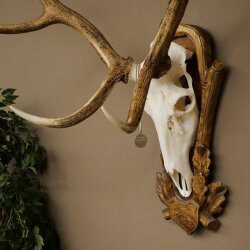 Rothirschgeweih ung. 16 ender Hirsch Medaille silberfarben Höhe 124 cm Hirschgeweih Geweih auf geschnitztem Trophäenschild