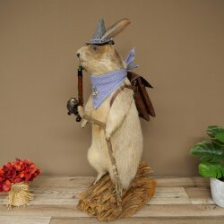 Taxidermied Wolpertinger marmot hiker with hat, backpack, neckerchief, walking stick, and pipe