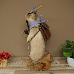 Taxidermied Wolpertinger marmot hiker with hat, backpack, neckerchief, walking stick, and pipe