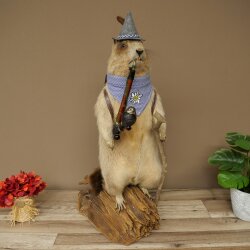 Taxidermied Wolpertinger marmot hiker with hat, backpack, neckerchief, walking stick, and pipe
